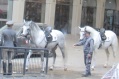 Lipizzaner stallions off to training, Vienna